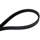 Purchase Top-Quality CONTINENTAL - 4040349S - Serpentine Belt - Automotive V-Belt pa3