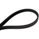 Purchase Top-Quality CONTINENTAL - 4040352S - Serpentine Belt - Automotive V-Belt pa2