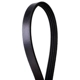 Purchase Top-Quality Serpentine Belt by CONTINENTAL pa3