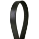 Purchase Top-Quality CONTINENTAL - 4040440 - Serpentine Belt - Automotive V-Belt pa2