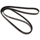 Purchase Top-Quality CONTINENTAL - 4040440 - Serpentine Belt - Automotive V-Belt pa3