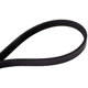 Purchase Top-Quality CONTINENTAL - 4040940 - Serpentine Belt - Automotive V-Belt pa3