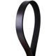 Purchase Top-Quality CONTINENTAL - 4050435 - Serpentine Belt - Automotive V-Belt pa2