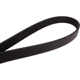 Purchase Top-Quality CONTINENTAL - 4060380 - Courroie Serpentine - Automotive V- Belt pa2