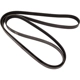 Purchase Top-Quality CONTINENTAL - 4060402S - Serpentine Belt - Automotive V-Belt pa1