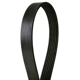 Purchase Top-Quality CONTINENTAL - 4060455 - Serpentine Belt - Automotive V- Belt pa2