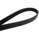 Purchase Top-Quality CONTINENTAL - 4060455 - Serpentine Belt - Automotive V- Belt pa3