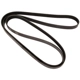 Purchase Top-Quality CONTINENTAL - 4060457 - Courroie Serpentine - Automotive V-Belt pa2