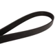 Purchase Top-Quality CONTINENTAL - 4060462 - Courroie Serpentine - Automotive V-Belt pa1