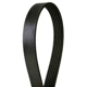 Purchase Top-Quality CONTINENTAL - 4060475 - Serpentine Belt - Automotive V-Belt pa1