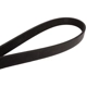 Purchase Top-Quality CONTINENTAL - 4060475 - Serpentine Belt - Automotive V-Belt pa2