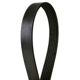 Purchase Top-Quality CONTINENTAL - 4060505 - Courroie Serpentine - Automotive V-Belt pa2