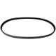 Purchase Top-Quality CONTINENTAL - 4060518 - Serpentine Belt pa1