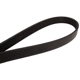 Purchase Top-Quality CONTINENTAL - 4060610 - Serpentine Belt - Automotive V-Belt pa2