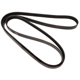 Purchase Top-Quality CONTINENTAL - 4060665 - Serpentine Belt - Automotive V-Belt pa2