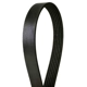 Purchase Top-Quality CONTINENTAL - 4060715 - Serpentine Belt - Automotive V-Belt pa2