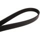 Purchase Top-Quality CONTINENTAL - 4060919 - Courroie Serpentine - Automotive V-Belt pa3