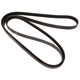 Purchase Top-Quality CONTINENTAL - 4060919 - Courroie Serpentine - Automotive V-Belt pa4