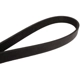 Purchase Top-Quality CONTINENTAL - 4060957 - Serpentine Belt - Automotive V-Belt pa3