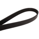 Purchase Top-Quality CONTINENTAL - 4061015 - Courroie Serpentine - Automotive V-Belt pa2