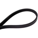 Purchase Top-Quality CONTINENTAL - 4061396F - Serpentine Belt - Automotive V-Belt pa1