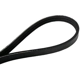 Purchase Top-Quality CONTINENTAL - 4080660 - Serpentine Belt pa2