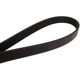 Purchase Top-Quality Serpentine Belt by CONTINENTAL pa2