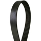 Purchase Top-Quality Serpentine Belt by CONTINENTAL pa3