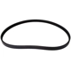 Purchase Top-Quality CONTINENTAL - 4K850 - Serpentine Belt pa2