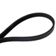 Purchase Top-Quality CONTINENTAL - 4K850 - Serpentine Belt pa3