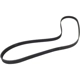 Purchase Top-Quality CONTINENTAL - 5PK1295 - Serpentine belt pa3