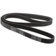 Purchase Top-Quality CONTINENTAL - 6K1868 - Serpentine Belt pa1