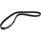 Purchase Top-Quality Serpentine Belt by CONTINENTAL pa3