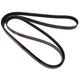 Purchase Top-Quality CONTINENTAL - 6PK1878 - Serpentine Belt - Automotive V-Belt pa3