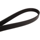 Purchase Top-Quality CONTINENTAL - 6PK2475 - Serpentine Belt pa2