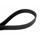 Purchase Top-Quality Serpentine Belt by CONTINENTAL pa3