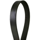 Purchase Top-Quality CONTINENTAL - 875K6MK - Mileage Maker Multi V-Belt pa1