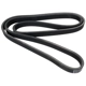 Purchase Top-Quality CONTINENTAL - D4070535 - Serpentine Belt - Automotive V-Belt pa3