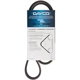 Purchase Top-Quality Serpentine Belt by DAYCO pa6