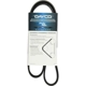 Purchase Top-Quality Courroie Serpentine by DAYCO pa9