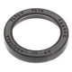 Purchase Top-Quality NATIONAL OIL SEALS - 240735 - Axle Shaft Seal pa1