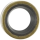 Purchase Top-Quality Shift Shaft Seal by PIONEER - 759168 pa1