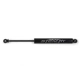 Purchase Top-Quality Shock Absorber by FABTECH pa1