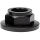 Purchase Top-Quality DORMAN - 615-004.1 - Spindle Nut pa3