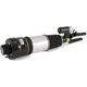 Purchase Top-Quality ARNOTT - AS2294 - Air Strut pa1