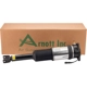 Purchase Top-Quality Suspension pneumatique by ARNOTT - AS2966 pa4