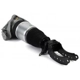 Purchase Top-Quality Suspension pneumatique by ARNOTT - AS3164 pa7