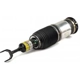 Purchase Top-Quality Suspension pneumatique by ARNOTT - AS3230 pa7