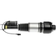 Purchase Top-Quality DORMAN - 949-851 - Air Suspension Air Strut Assembly pa2