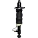 Purchase Top-Quality FCS AUTOMOTIVE - 99002 - Air Suspension Strut pa1